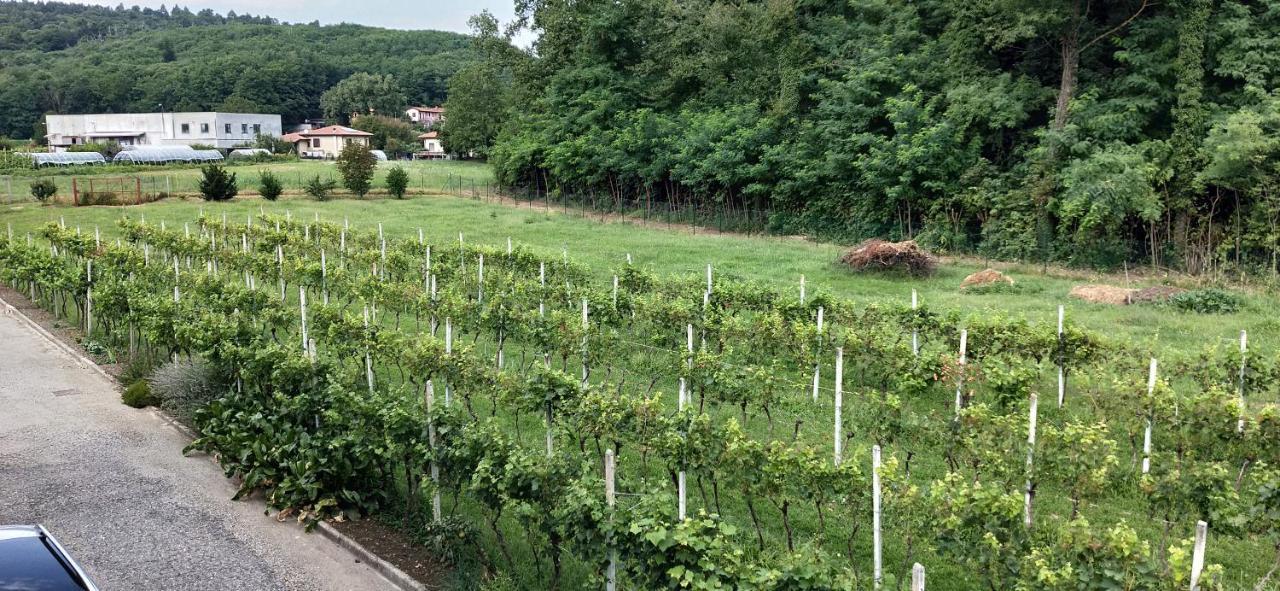 Da Terry Bed & Breakfast Vergiate Zewnętrze zdjęcie